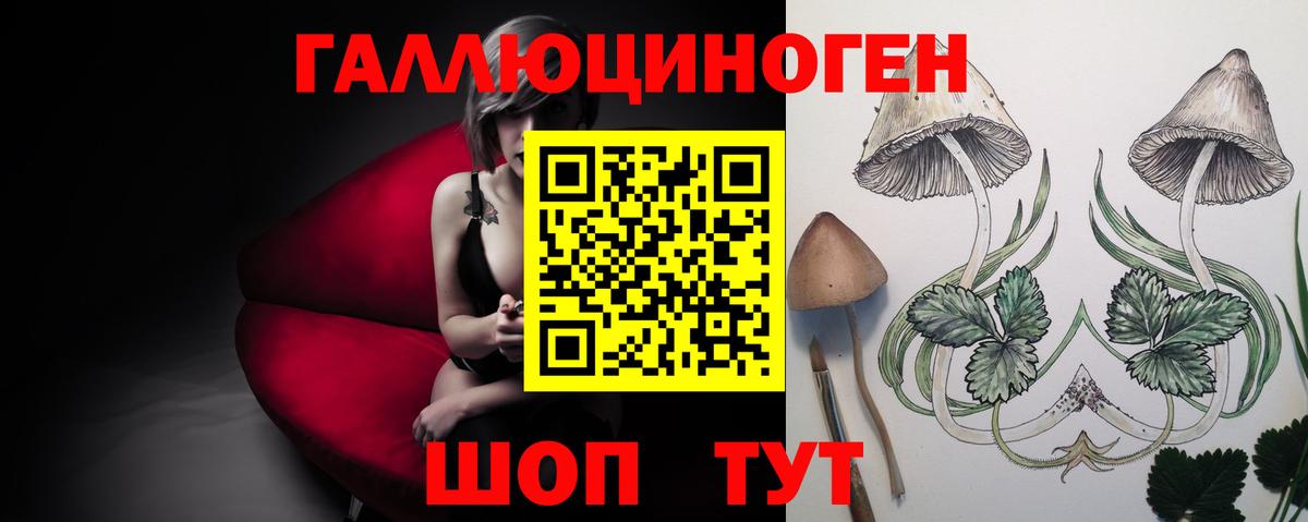 где купить наркотик  Галлюциногенные грибы GOLDEN TEACHER  Вход с VPN  Городец  Галлюциногенные грибы Psilocybe 